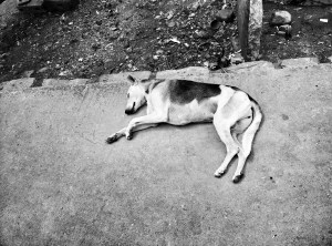 IMG_20160903_104744~2