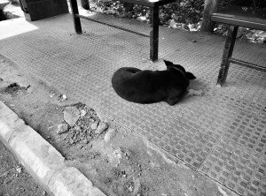 IMG_20160903_105202~2