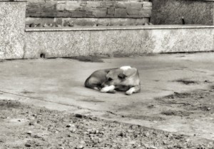 IMG_20160903_171347~2