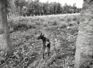 IMG_20160903_175317~2