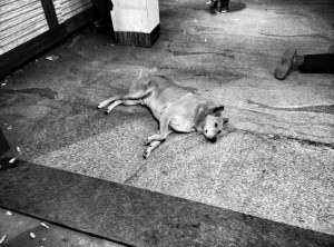 IMG_20160903_212343~2