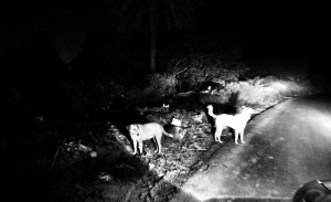 IMG_20160904_000621~2