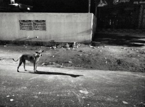 IMG_20160904_000807~2