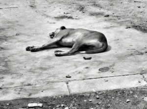 IMG_20160904_103236~2